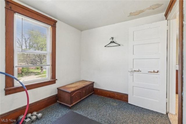 mudroom featuring baseboards and carpet