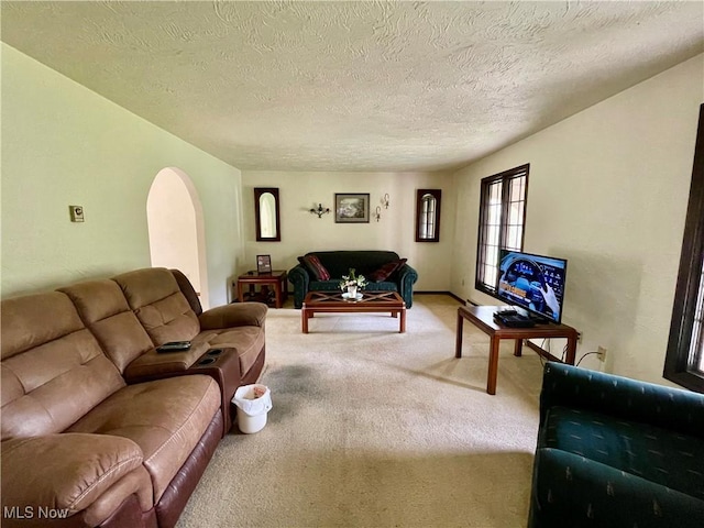 1995 Claus Rd, Vermilion, OH 44089 - living area with arched walkways, light carpet, and a textured ceiling