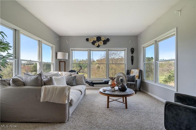 carpeted living room featuring baseboards and a healthy amount of sunlight