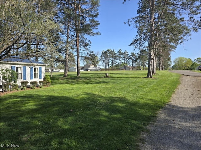 view of yard