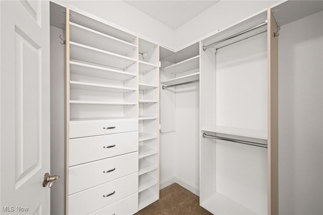 spacious closet featuring dark carpet