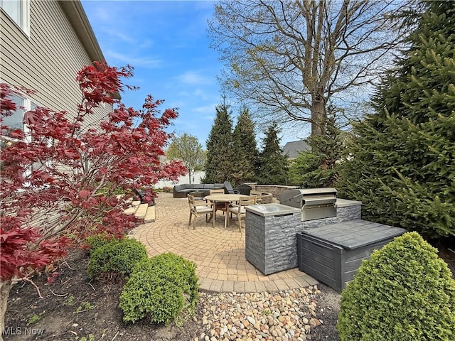 view of patio / terrace with an outdoor kitchen, an outdoor hangout area, and grilling area