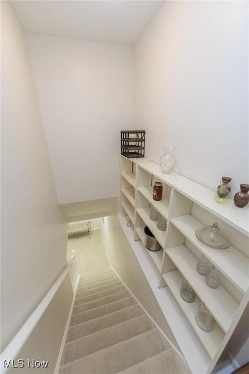 117 Royal Oak Dr, Aurora, OH 44202 - view of stairway