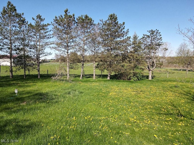 view of yard with a rural view