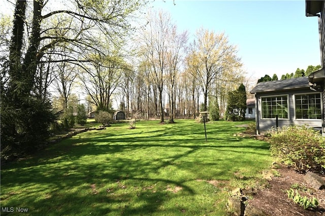 view of yard