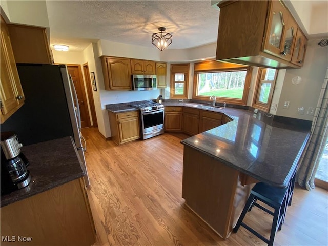 kitchen featuring plenty of natural light, a sink, a peninsula, and stainless steel appliances