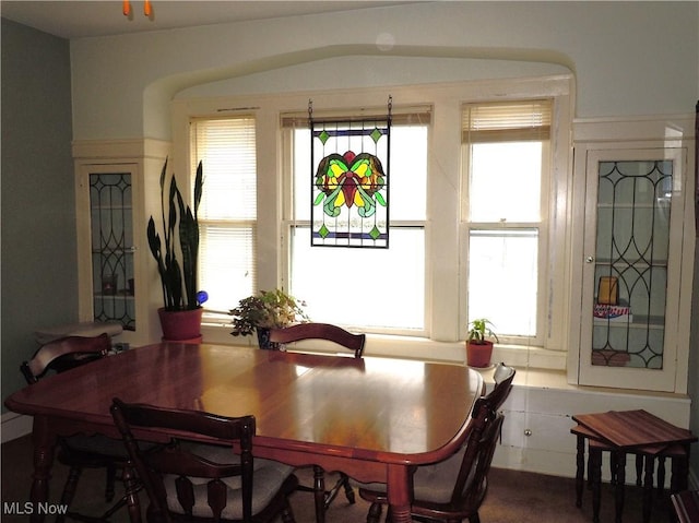 dining room with plenty of natural light