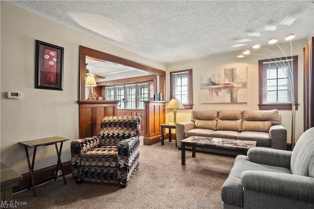 carpeted living area featuring crown molding and a textured ceiling