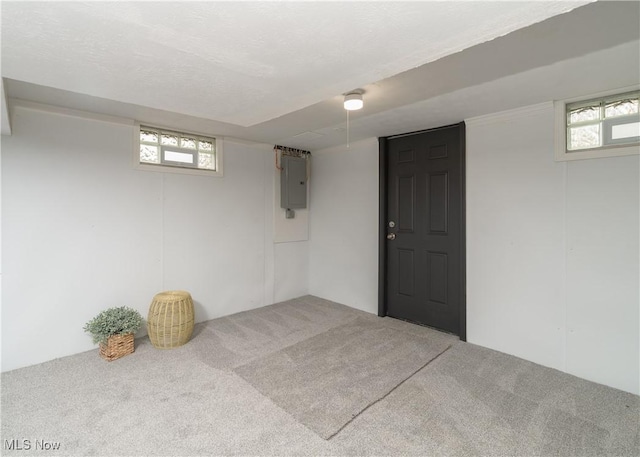 basement featuring carpet floors, a wealth of natural light, and electric panel