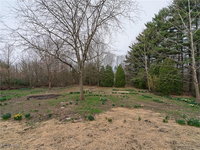view of yard with a wooded view
