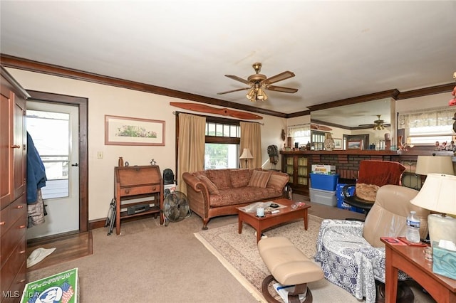 carpeted living area featuring baseboards, a ceiling fan, and ornamental molding