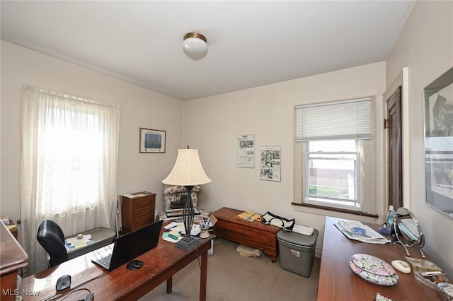 carpeted office space with a wealth of natural light