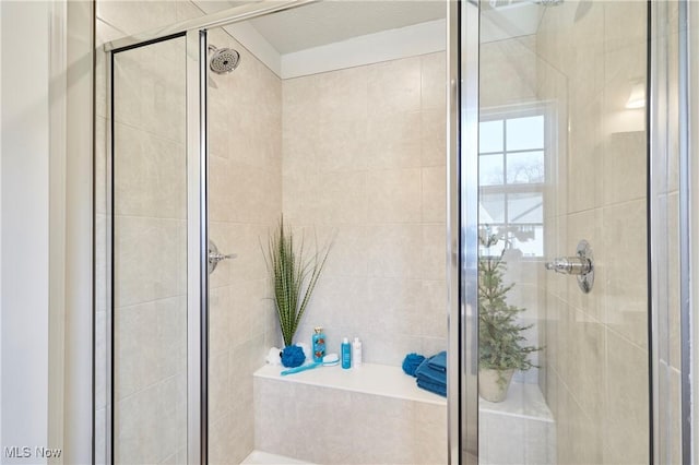 1662 N Eckert Ln, Akron, OH 44313 - full bathroom featuring tile walls, a garden tub, and a shower stall