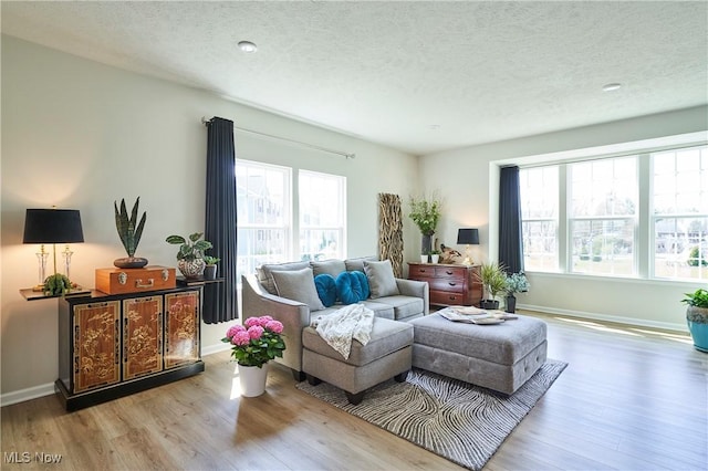 1662 N Eckert Ln, Akron, OH 44313 - living room featuring a textured ceiling, baseboards, and wood finished floors