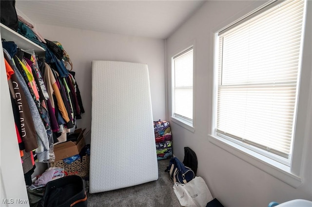 spacious closet featuring carpet floors