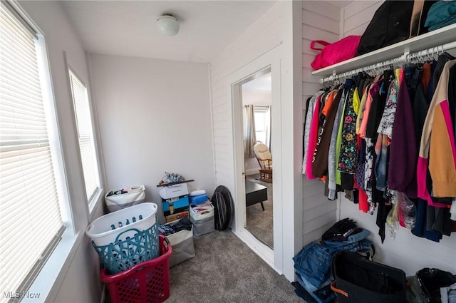 walk in closet featuring carpet flooring