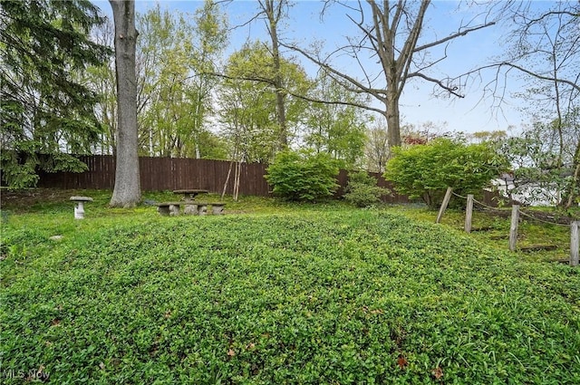view of yard featuring a fenced backyard
