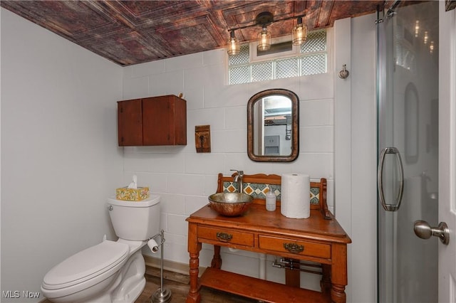 bathroom featuring vanity, toilet, and curtained shower