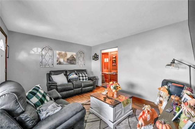 living area featuring wood finished floors