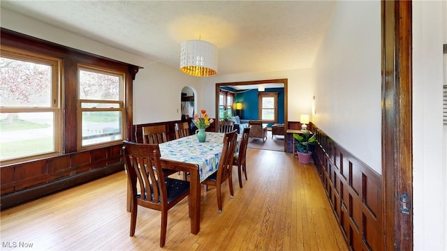 dining area featuring a healthy amount of sunlight, light wood finished floors, and a wainscoted wall
