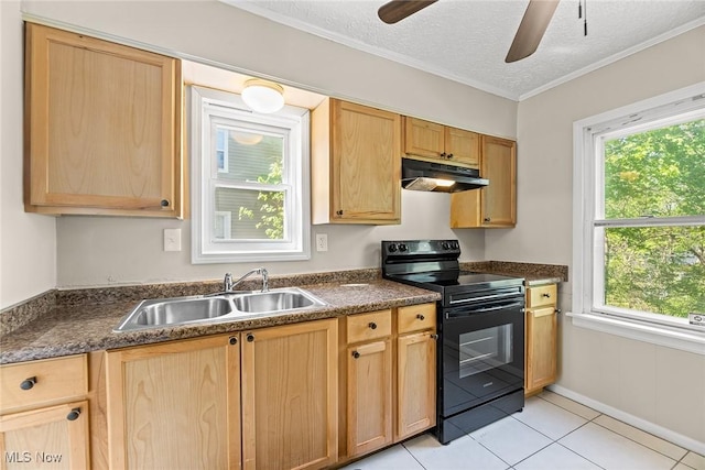 kitchen with a sink, dark countertops, under cabinet range hood, and black electric range