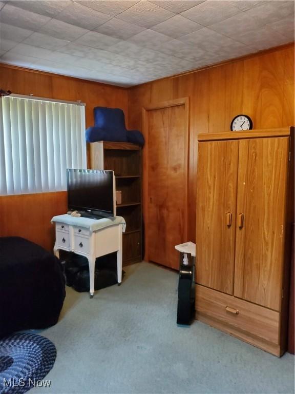 interior space featuring carpet flooring and wood walls