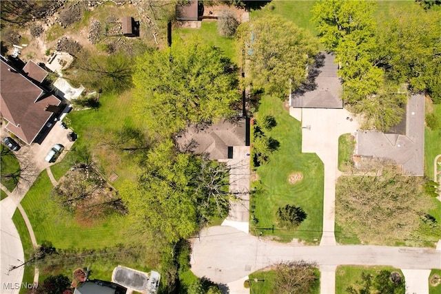 bird's eye view