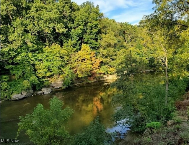 view of local wilderness with a wooded view