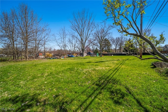 view of yard