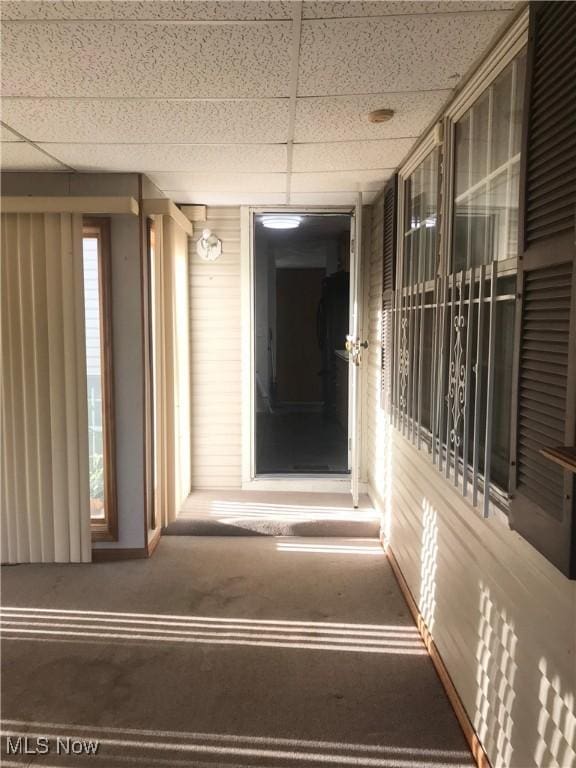 hall featuring carpet floors and a paneled ceiling