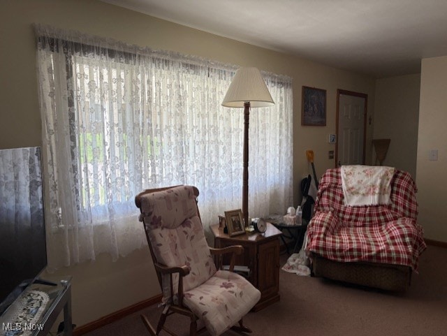 living area with carpet floors