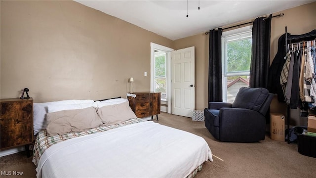 bedroom featuring carpet
