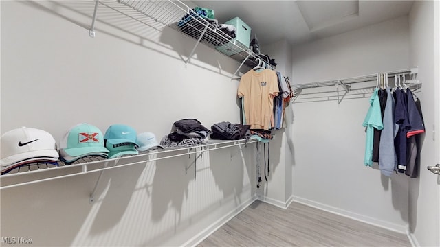 walk in closet with attic access and wood finished floors