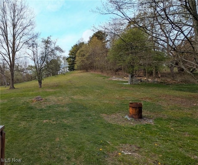 view of yard