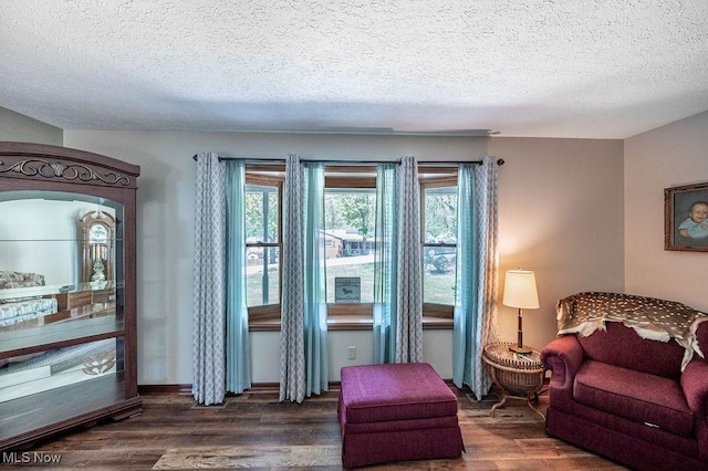 sitting room with a textured ceiling and wood finished floors