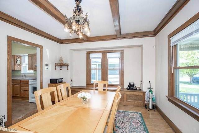 dining room featuring crown molding, light wood-style floors, a chandelier, and a wealth of natural light