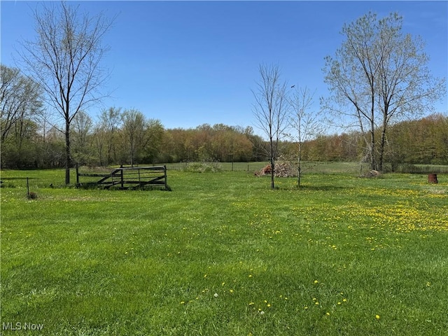 view of yard featuring a wooded view