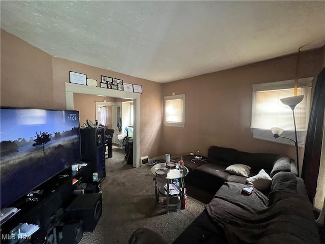 living room featuring carpet