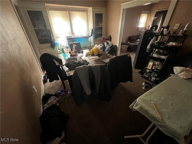 interior space with carpet floors