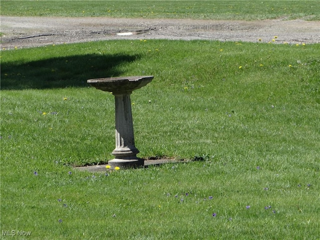 view of details