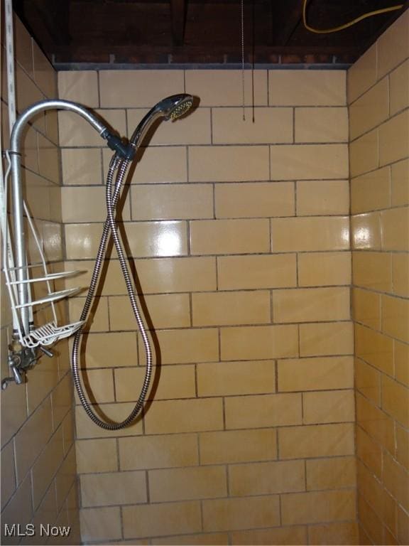 interior details with tiled shower