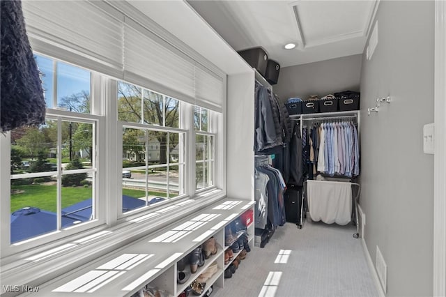 spacious closet featuring attic access, visible vents, and carpet