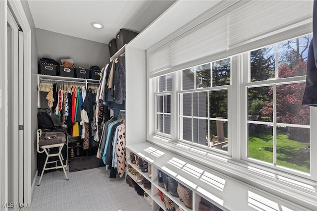 spacious closet featuring carpet