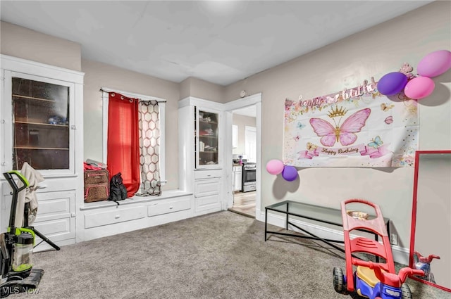 rec room with carpet floors