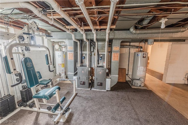 interior space with heating unit and water heater