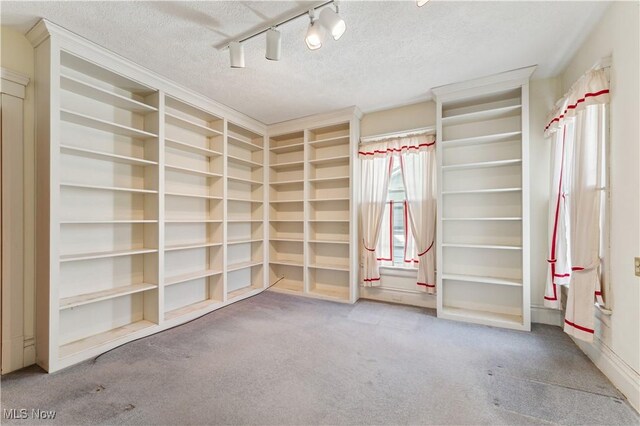162 S Cedar St, Oberlin, OH 44074 - spacious closet with carpet