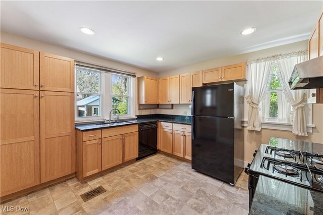 162 S Cedar St, Oberlin, OH 44074 - kitchen featuring black appliances, a sink, plenty of natural light, dark countertops, and recessed lighting