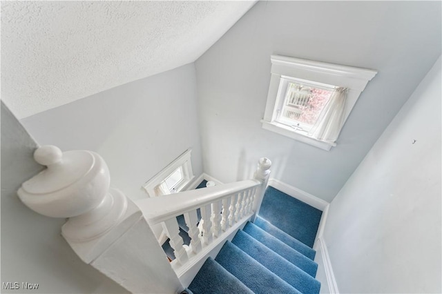 162 S Cedar St, Oberlin, OH 44074 - stairs with a textured ceiling, vaulted ceiling, baseboards, and carpet floors