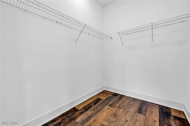 walk in closet with dark wood-style floors