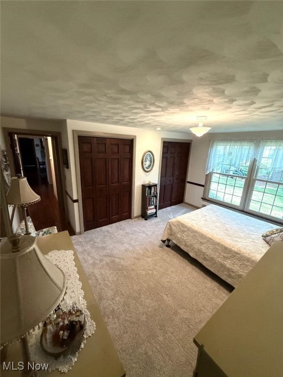 422 Glenwoods Ct, Boardman, OH 44512 - bedroom featuring light colored carpet and multiple closets